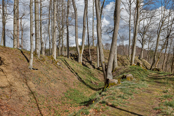 Bodendenkmal Erichsburg Burgen und Schlösser im Harz