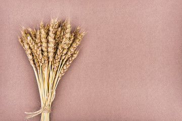 Bunch of spikelets of wheat tied with jute twine, isolated on brown background. Flat lay.