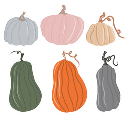 Collection of cute colored pumpkins, delicate shades of pumpkin, isolated white background, set of autumn pumpkin, autumn vegetable. Cartoon illustration, modern design. Halloween pumpkin. Vector