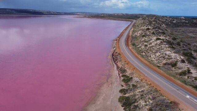 an ascending aerial clip, facing south, of the pink waters of hutt lagoon in western australia