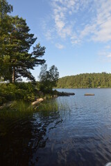 Naklejka premium Beautiful nature and landscapes around the archipelago and islands in Blekinge Skärgård, Sweden