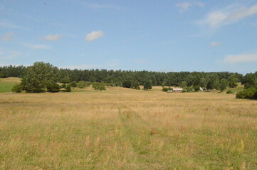 Hiking the charming old path Skåneleden in stunning scenery with grassy hills and meadows in Southern Sweden