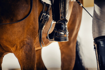 The rider gets on the horse. Equestrian sport. The leg of the rider in the stirrup, riding on a...