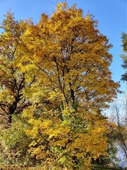 Beautiful lake in autumn