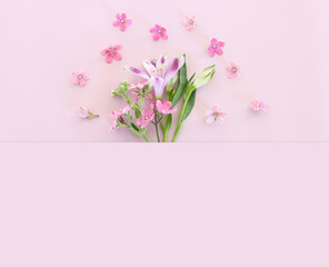 Top view image of pink and purple flowers composition over pastel background .Flat lay