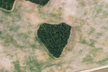 Aerial drone view to copse of love in heart shape . Heart of Earth. Earth day.
