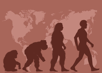 illustration of evolution human