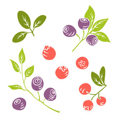 Blueberry and lingonberry. Colorful paper cut collection of fruits and berries isolated on white background. Doodle hand drawn fruits. Vector illustration