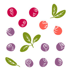 Set of wild berries: blueberry, lingonberry, cranberry. Colorful paper cut collection of fruits and berries isolated on white background. Doodle hand drawn fruits. Vector illustration