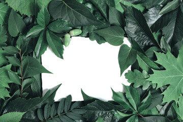 Template for creativity, background of green foliage trees and flowers with white square in middle copyspace.