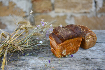 still life with bread and stalks of cereal plants