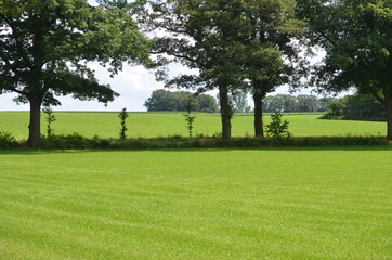 Coulissenlandschap van de Achterhoek