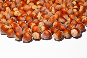 Hazelnuts on a white background. Close-up. Selective focus.
