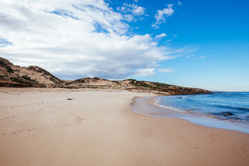 Fototapeta na wymiar Monforts Beach in Blairgowrie Australia