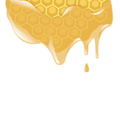 Digital Vector Honey Illustration