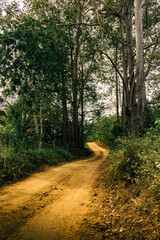 Fotografia de Paisagens - Ilhéus/Bahia