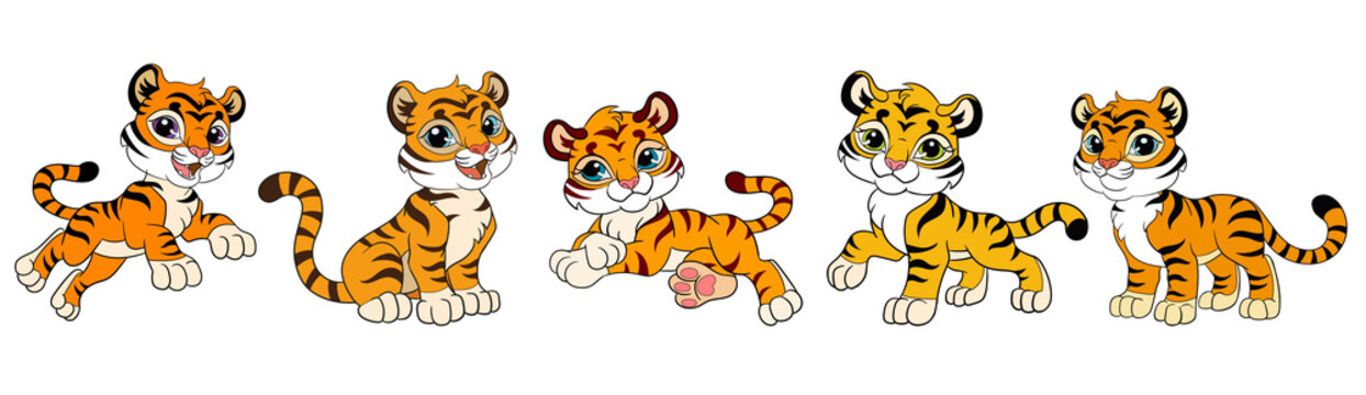 Set of five cute cartoon tiger cubs vector illustration