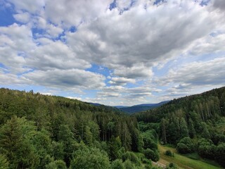 Obraz premium Schwarzenbachtalsperre beautiful lake in the Black Forest in Germany in summer