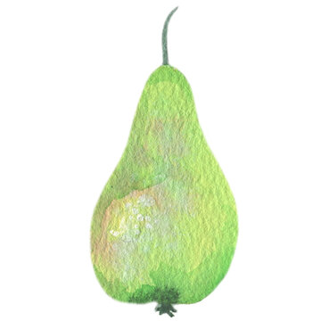 Pear. Watercolor illustration with vegetables and fruits. Vegetarian food. Natural organic food. Healthy diet. Cooking food.