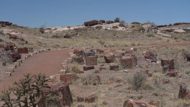 Petrified Logs and Hiking Trail in Petrified National Forest National Park, Arizona USA, Full Frame