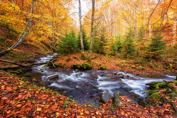 Amazing nature landscape with colored autumn forest and mountain creek, outdoor travel background suitable for wallpaper