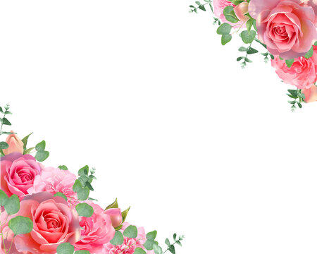 美しい色使いの薔薇の花と植物の白バックフレームイラスト素材