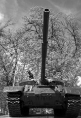 battle tank in the park against the sky