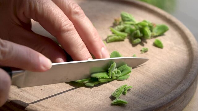 Cutting up fresh silver spurflower plant to prepare homemade herbal syrup against common cold, slow motion
