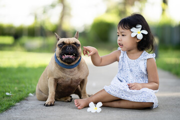Adorable Asian female child playing with her french bulldog pet