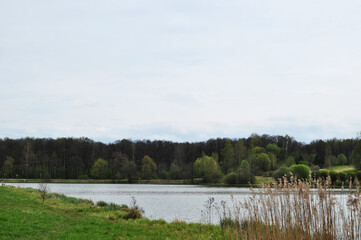 Panoramic view of the lake on a summer day. Lake and forest. The coastline of the lake.