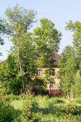 In the forest, behind the foliage of trees, houses are visible.