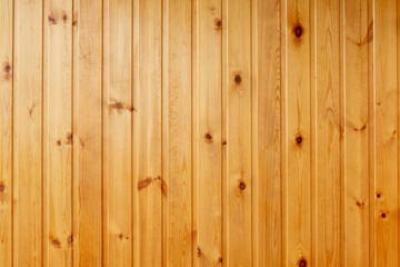 Fototapeta na wymiar Wooden text background of panel fence.