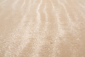Plakat Sandy shore with small seashells