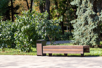 Wooden benches in a city park, summer.