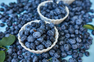 Flat lay of fresh organic juicy blueberries in a bowl on blue background