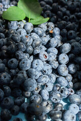 Flat lay of fresh organic juicy blueberries on blue background, hard sun light