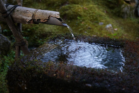 Schalenbrunnen Bilder Durchsuchen 12,695 Archivfotos,