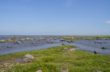 Green seaside pasture, bright green reed and grass under blue sky. Nordic meandering coast of tiny island Abruka. Warm sunny midsummer day. Tranquil Baltic Sea. Estonian coastline.