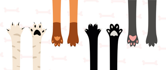 Set with cat paws with claws of different breeds on a pink background with bones. Vector illustration. Animals, wallpaper, print.