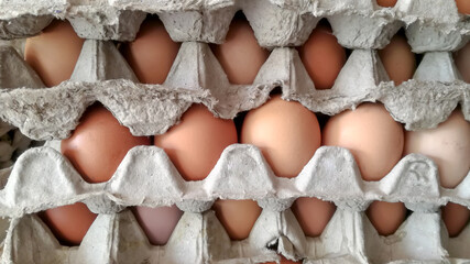 pile of chicken eggs in carton