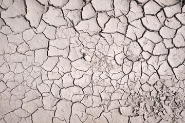 Area of Dried Land Suffering from Drought, ground cracks. texture of grungy dry cracking parched earth...