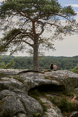 Time to reconnect with nature and forest with this couple under a tree on top of a rock in Fontainebleau forest in France