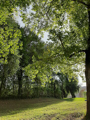 Naklejka premium Regensburg city, Germany: walking on a beautiful pring day in the park