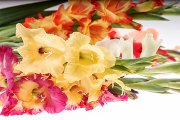 Bouquet of different colored gladiolus flowers isolated on white background