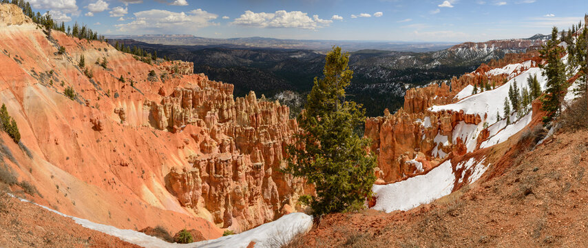 Ponderosa Point Panorama