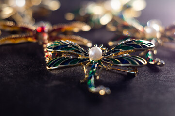 Beautiful brooches in the form of a dragonfly