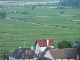 Toit typique de Bourgogne entour&eacute; de vignes 