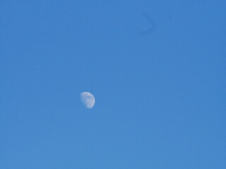 Lune dans un ciel bleu