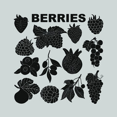 Berry set for use in product logos. Vector. - obrazy, fototapety, plakaty