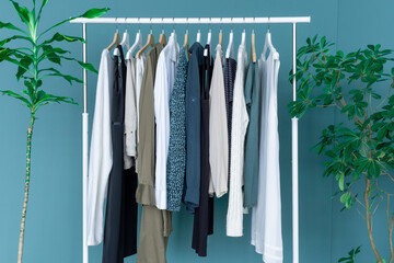 shopping dress clothes shelf green leaves plant blue background